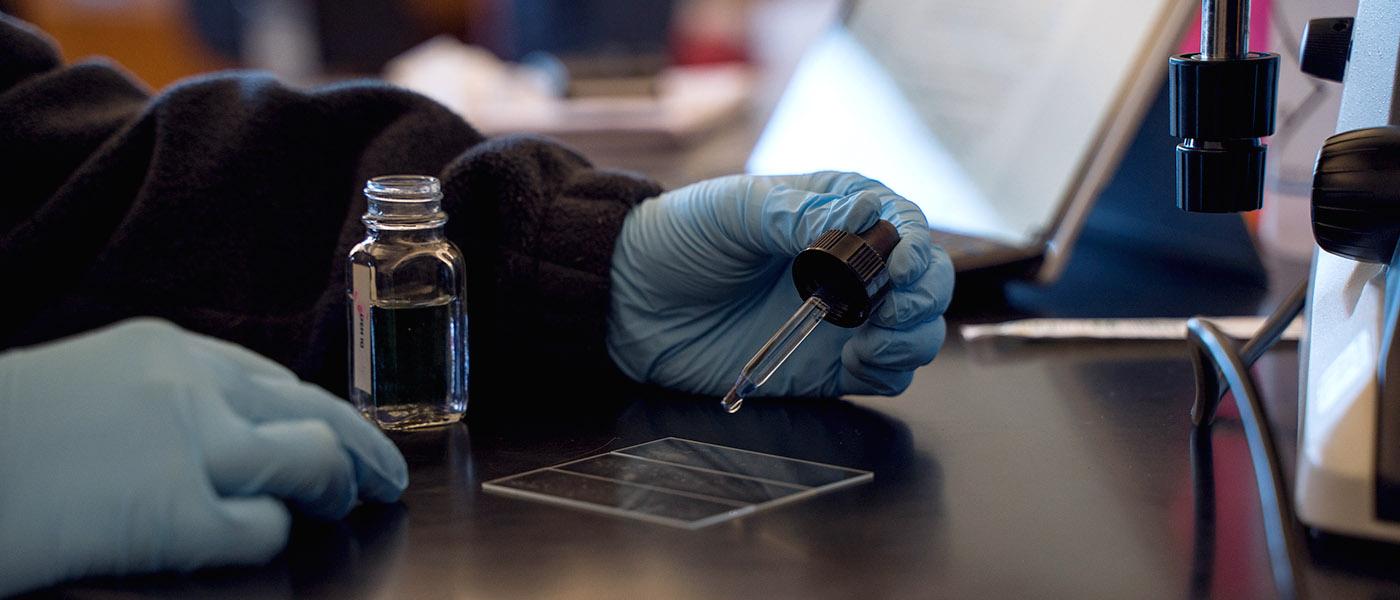 Close-up of student using eye dropper to place drop of liquid on viewing slide